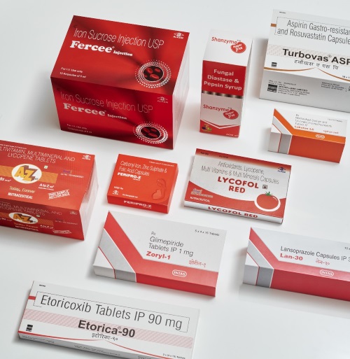 VISHRUTA Packaging Pvt. Ltd.